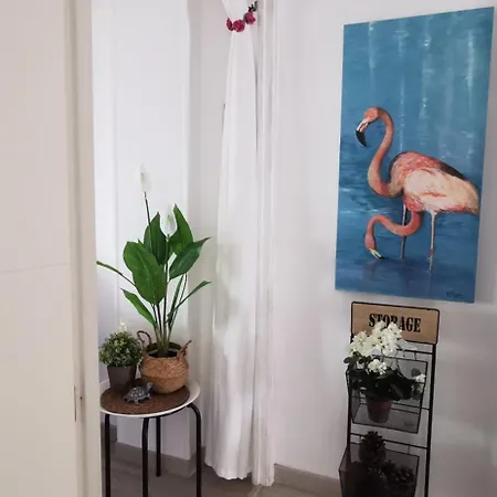 Luz Y Color Apartment