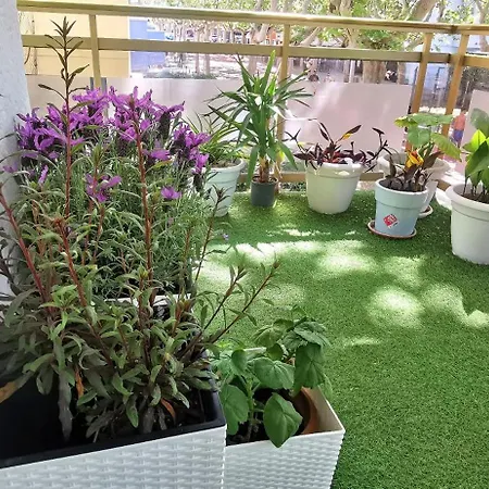Apartamento Luz Y Color Salou