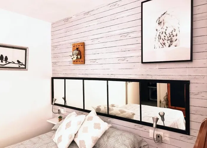 Luz Y Color 살루